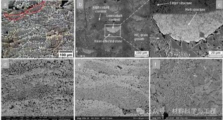 中南大學頂刊ESI高被引論文:WC-Co硬質(zhì)合金增材制造工藝、顯微組織及力學性能